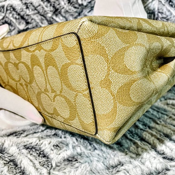 NWT - COACH MINI SAGE CARRYALL IN SIGNATURE CANVAS (F29434) - Picture 5 of 13